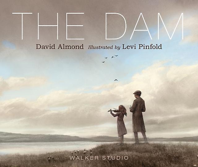The Dam by David Almond Paperback Book
