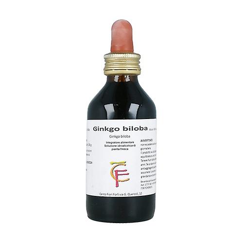 Ginkgo Biloba Hydroalcoholic Solution 100 ml