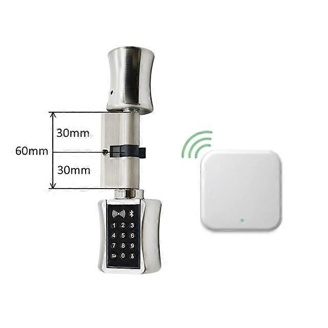 Smart Lock TTlock Bluetooth Cylinder Lock WIFI Security Wireless Electronic Digital APP Keypad Code Keyless Lock
