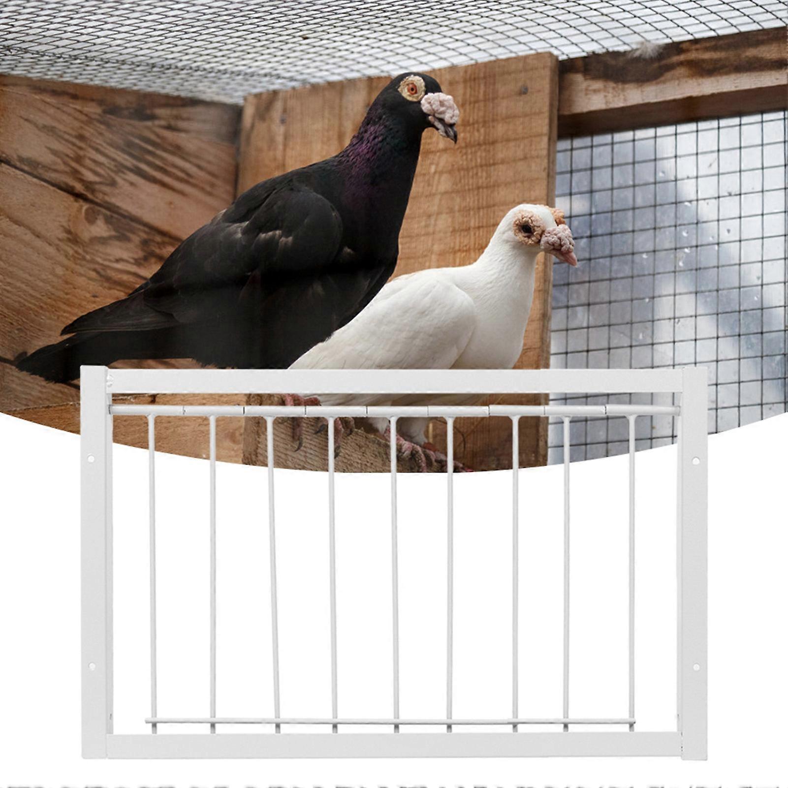 Iron Birdcages T Trap House Door High Strength Easy Installation for Pigeon and Parrot 43.3x26cm