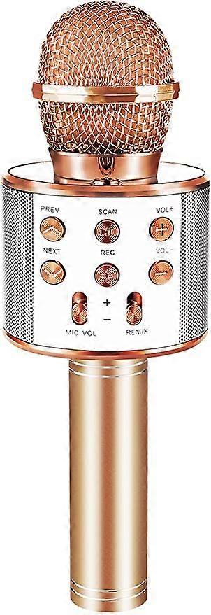 Bluetooth Portable Karaoke Microphone,Gifts for Kids