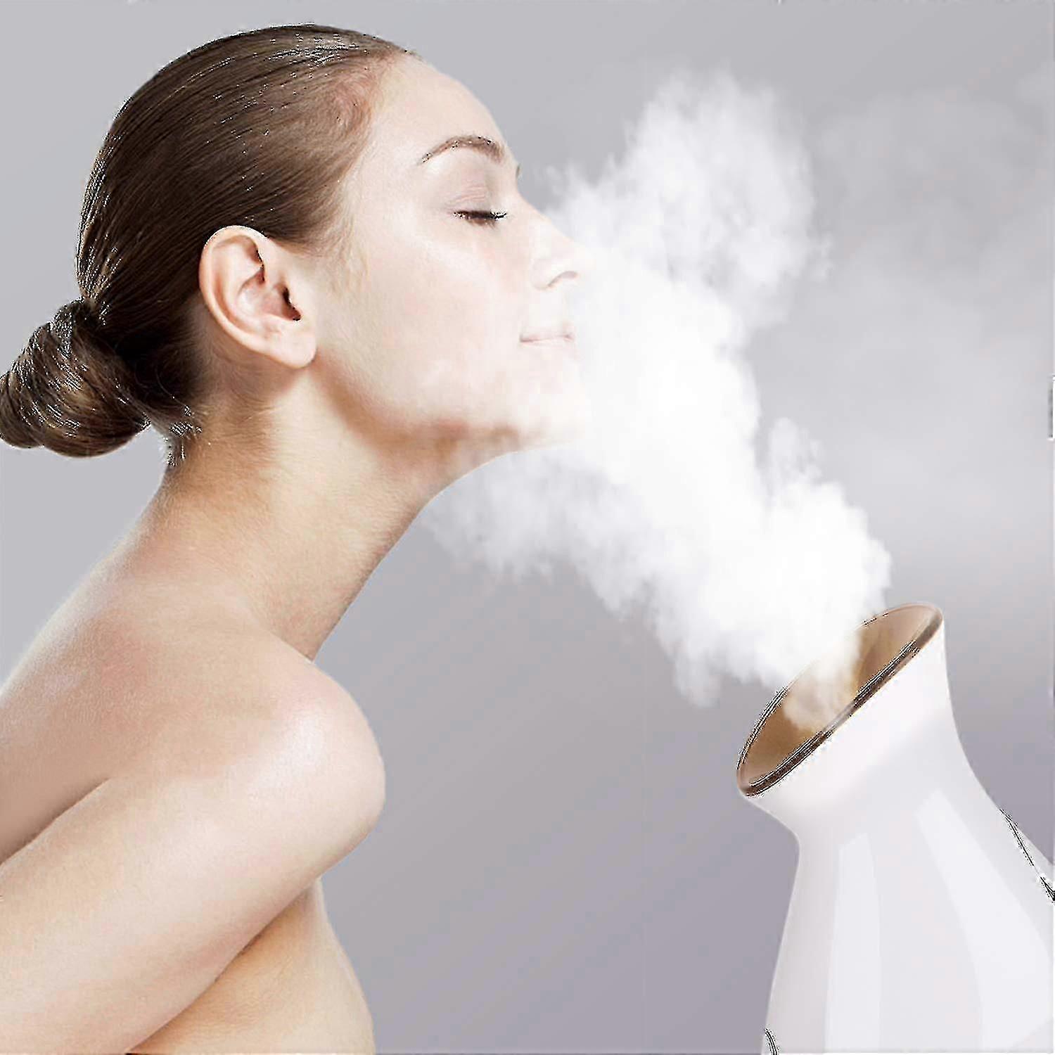 Face Steamer Professional, Nano Ionic Facial Steamer With Warm Mist - Cdsx