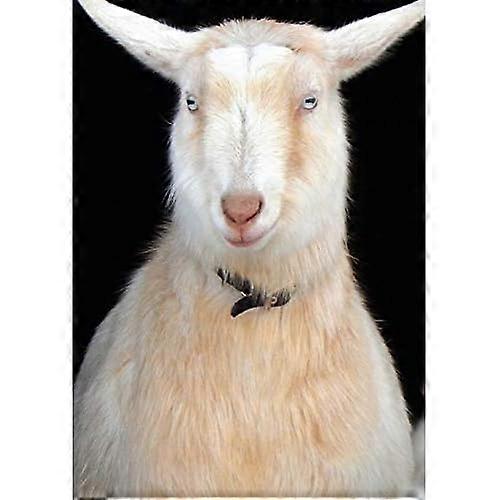 Stone Soup Junior Notebook