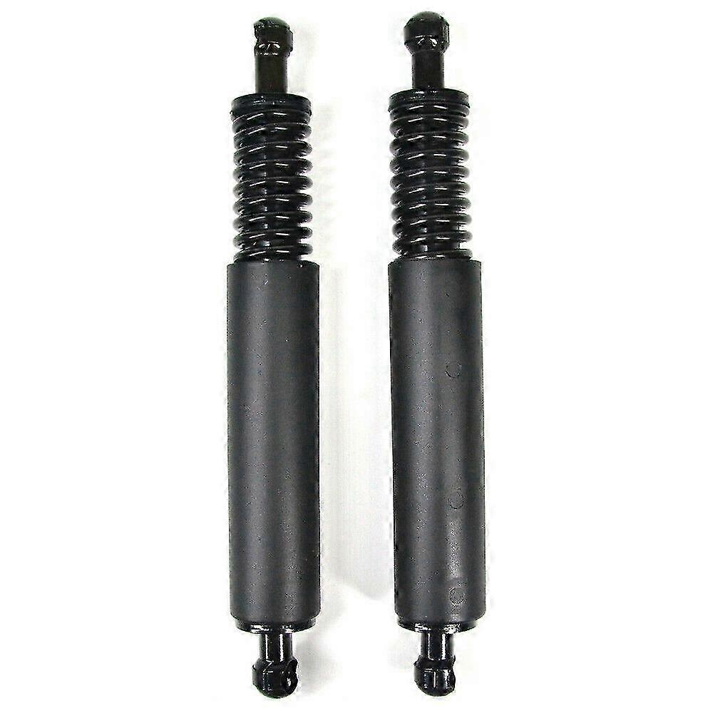 2 Rear Trunk Hatch Strut Shock Lift Left + Right Compatible with 2004-2010 Models