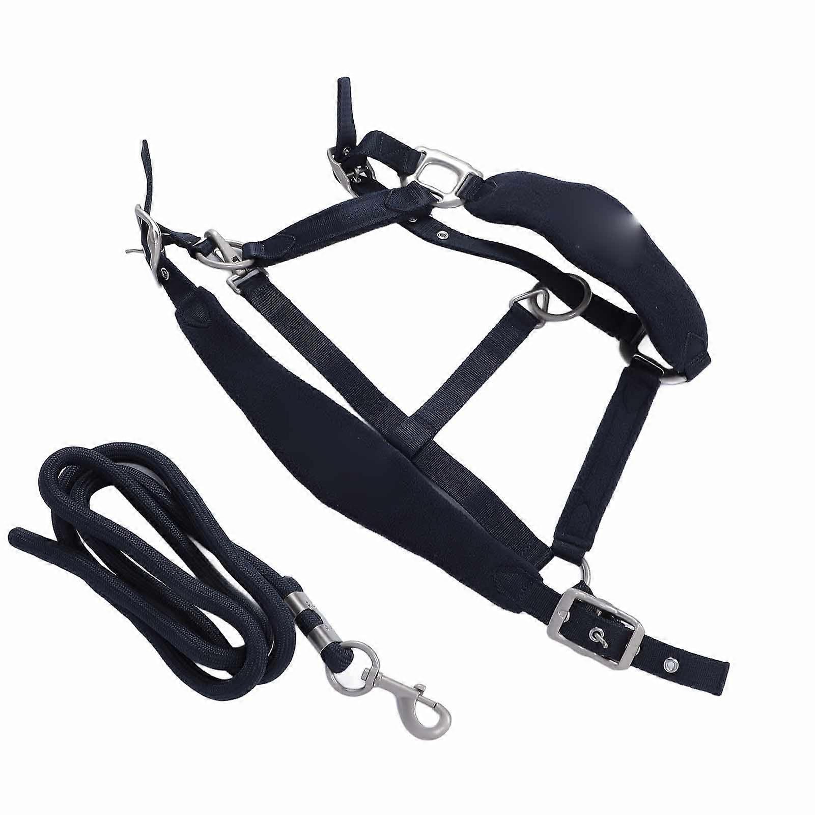 Adjustable Navy Blue Horse Halter Set with 2m Leash for Training