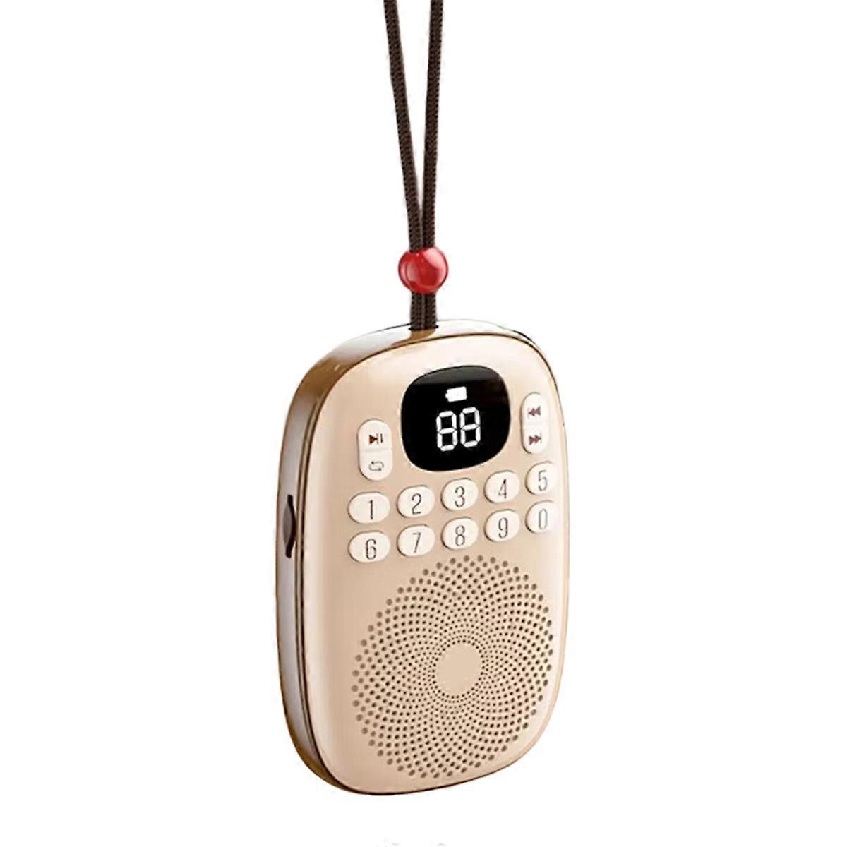 Pocket FM Radio LED Display Digital Radios Receiver D