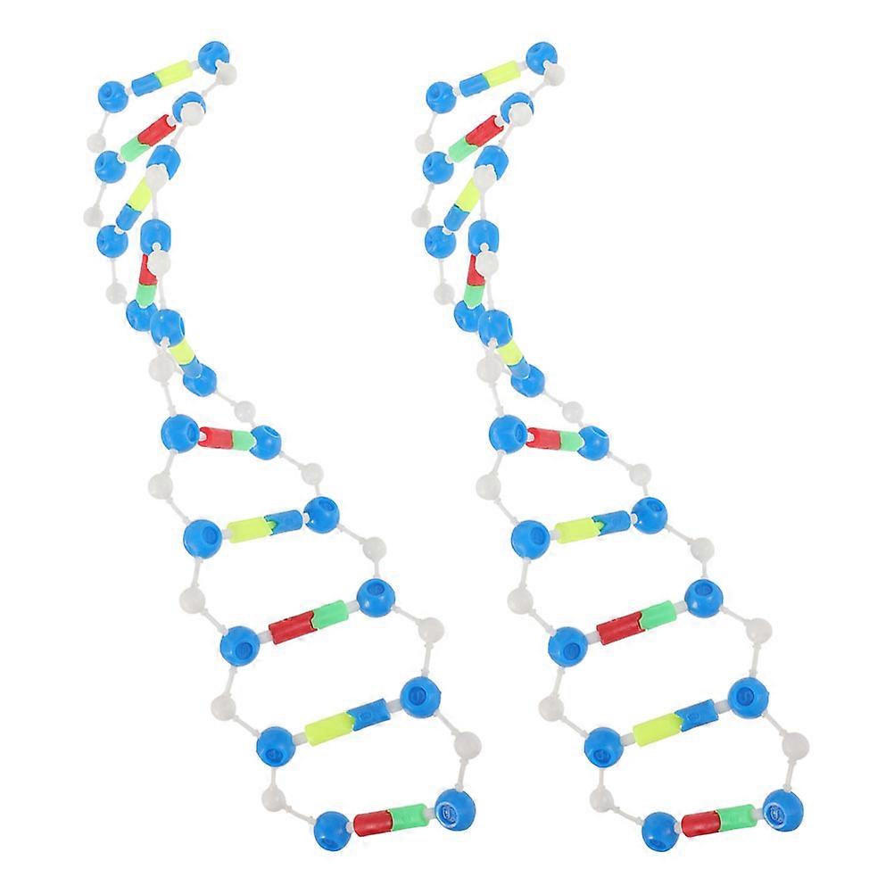 Dna Model Kit Teaching Genetics with 10Pcs Double Helix Components for Education