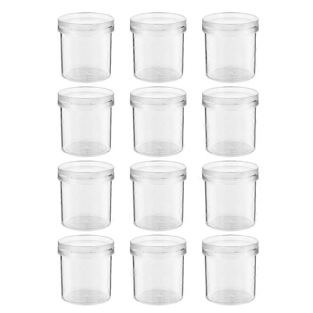 Insect Breeding Box for Observation 12Pcs Transparent Magnifying Critter Container