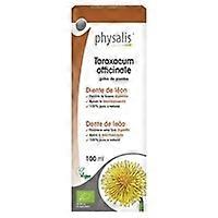 Dandelion Extract (Taraxacum O.) Bio 100 ml