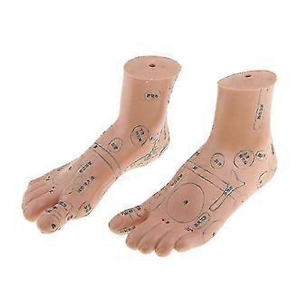 2 Pieces Foot Reflexology Massage Model English Code Tcm Feet Reflexology-Yvan