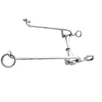 Jointed Horse Bit with Stainless Steel Construction, Long Side Arm, and Defining Attachments Rings for Bridle and Reins Cue Connection Multicolor