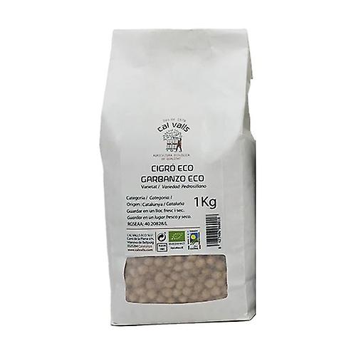 Eco National Pedrosillano Chickpea 1 kg