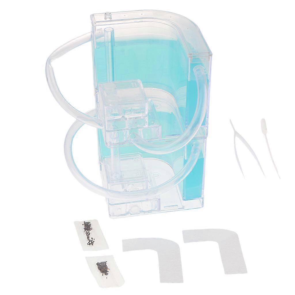 Student Science Magnifier Creative Toy Ant Home Duplex Villa Ligth Blue