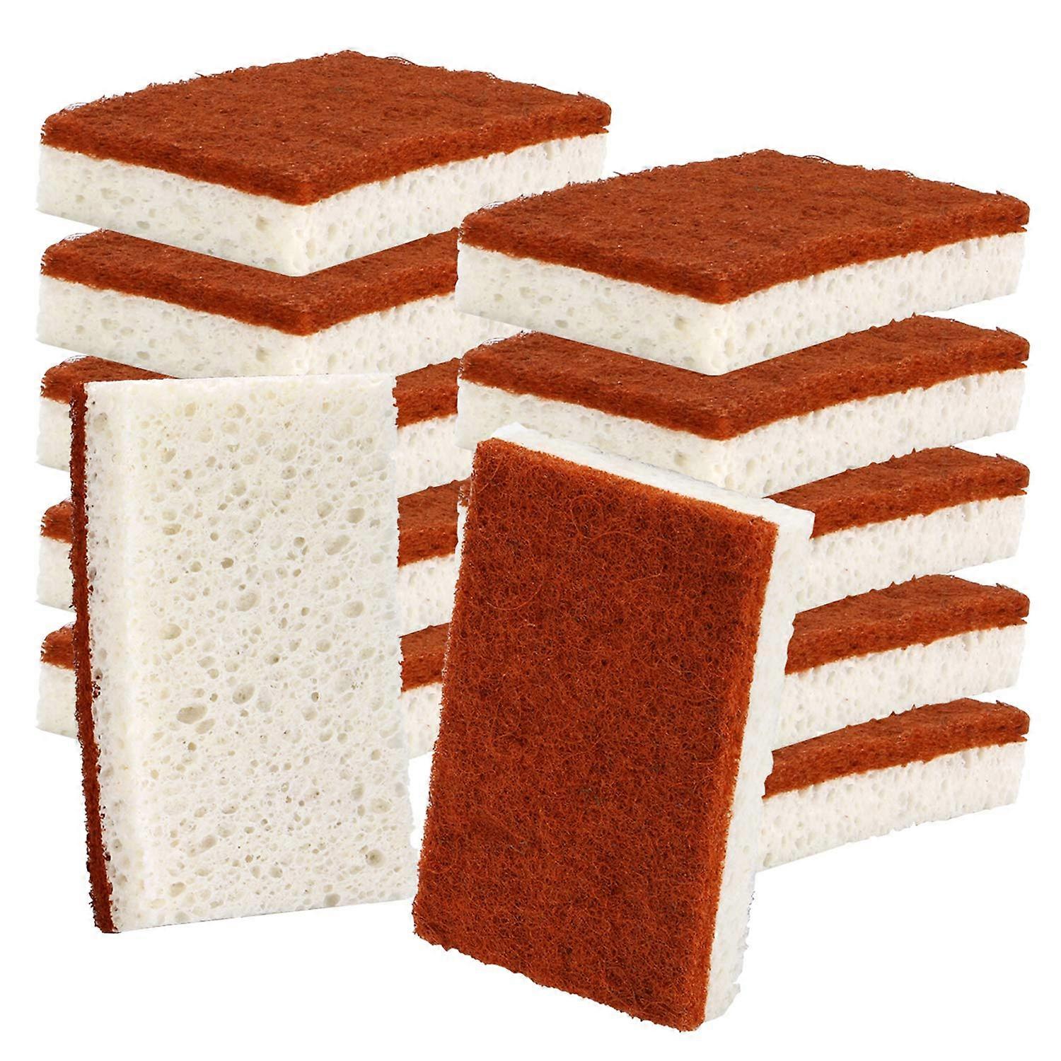 Plant-Based Scrub Sponge 12-Pack Biodegradable Palm Fiber Dishwasher Sponge Odor-Resistant