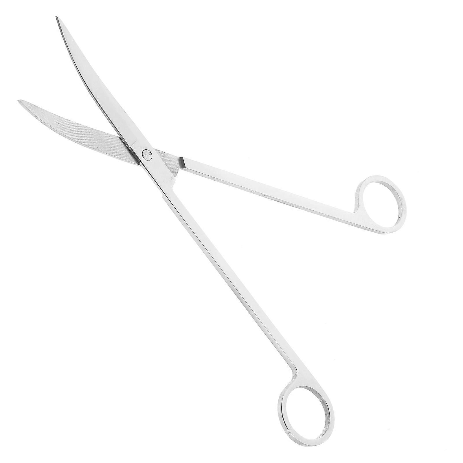 طقم صيانة حوض السمك مقص ذو تلميح منحني من الفولاذ المقاوم للصدأ لنباتات أحواض السمك فضي 25 سم سطح مقاوم للصدأ 1 مجموعة