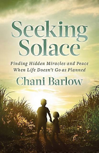 Seeking Solace by Chani Barlow Paperback