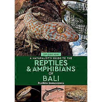 A A Naturalist's Guide to the Reptiles & Amfibieën van Bali (2e editie) (Naturalist's Guide)