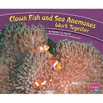Pesci pagliaccio e anemoni di mare lavorano insieme