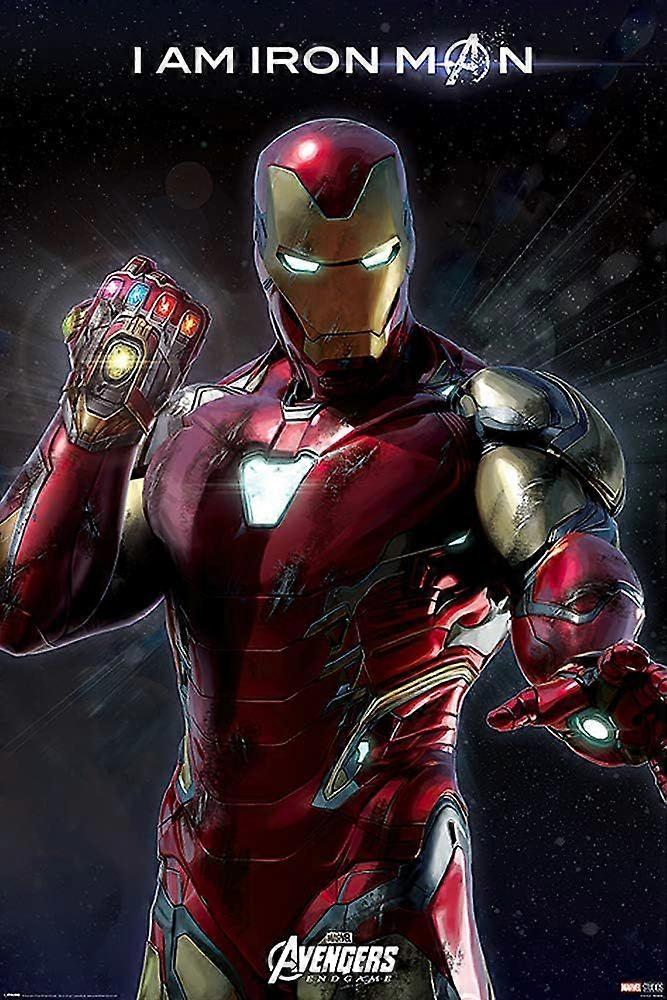 Avengers Endgame filmpuzzel CYQL-782