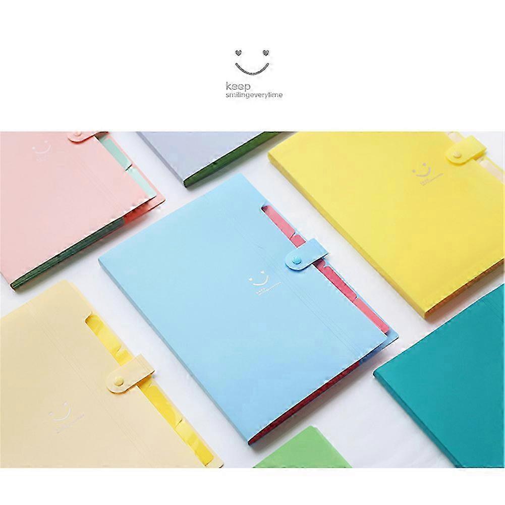 Cute 5-Pocket School Office Folder