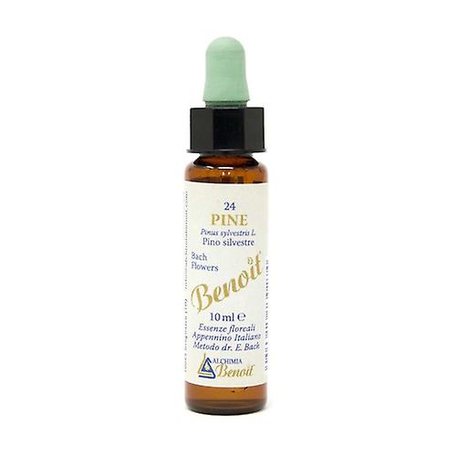 Bach flowers 24 Pine 10 ml of floral elixir (Floral)