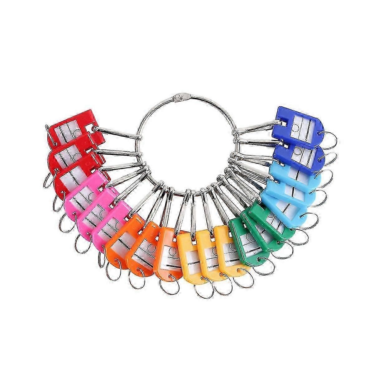 Portable Metal Ring Key Organizer with 30 Spring Hooks & Key Tags with Ring and Label Window