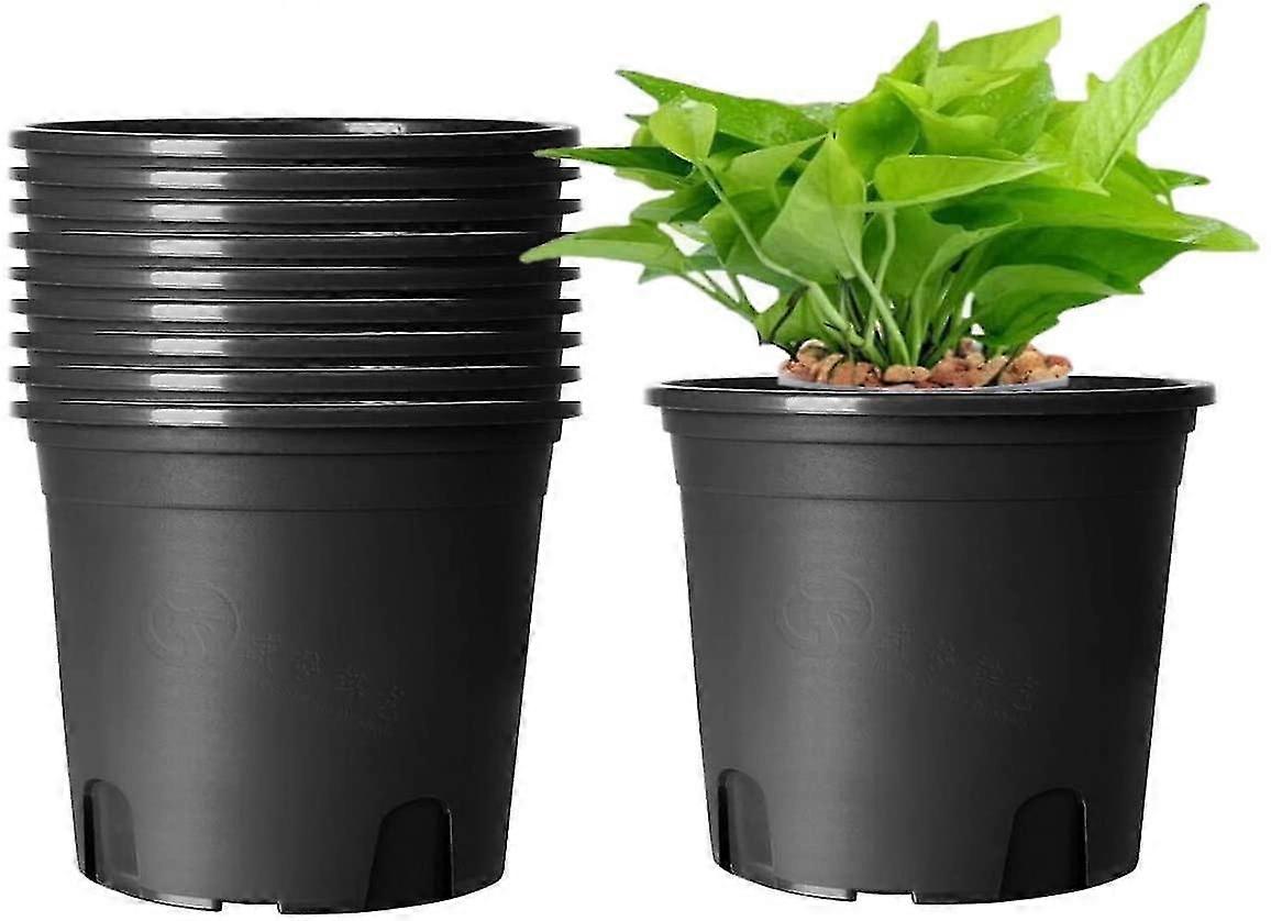 10    , 16 "         ()