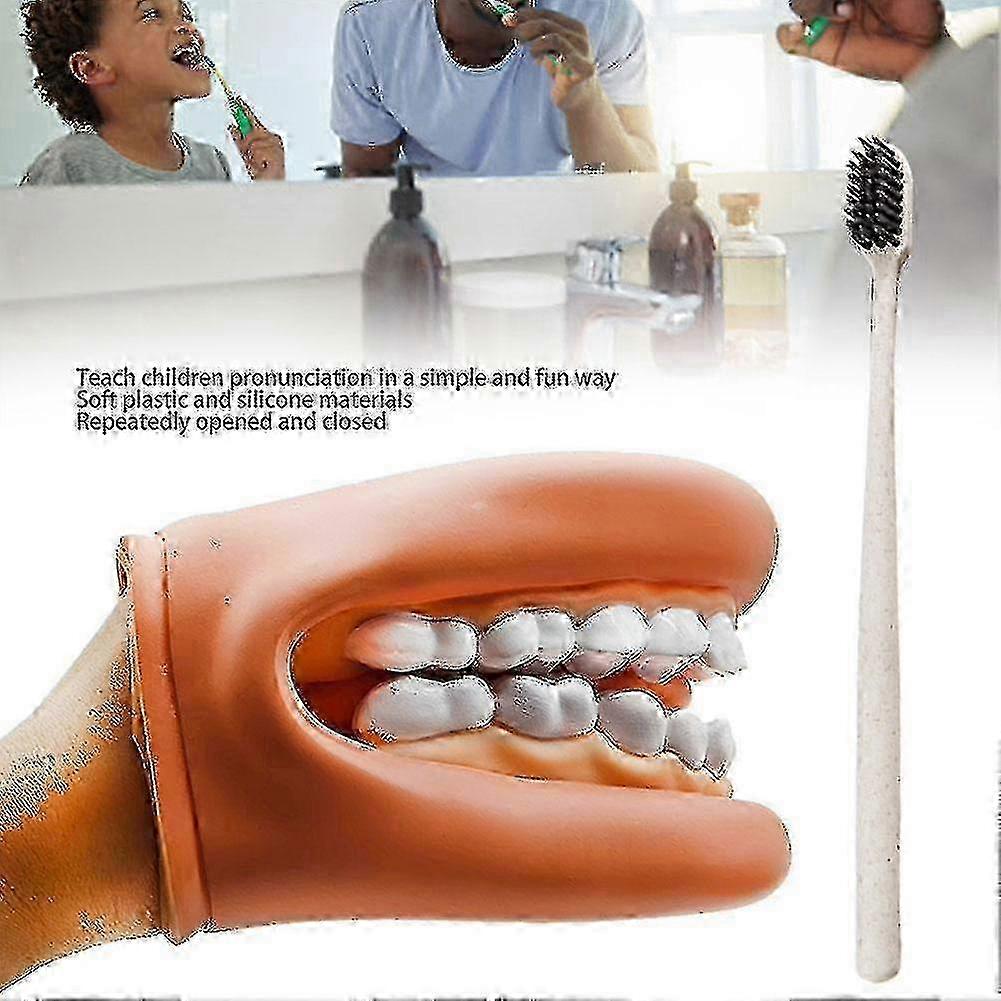 Poręczny model zębów dentysty, badanie demonstracji modelu standardowego dla Dentalteach Happy H