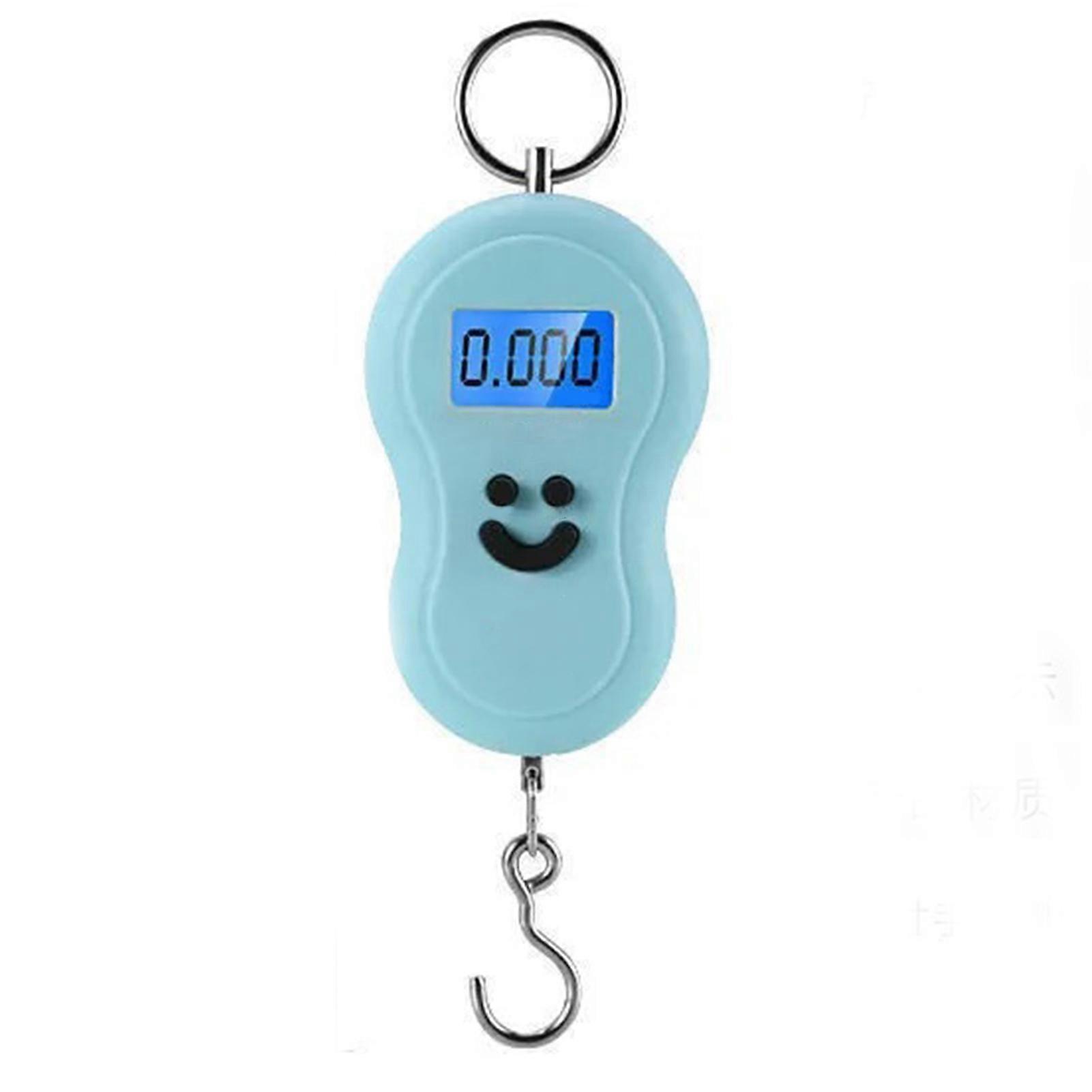 Portable Scale 50kg Compact Accurate Measurement Round Handle Hanging Small Electronic Scale for Home Travel QingHai
