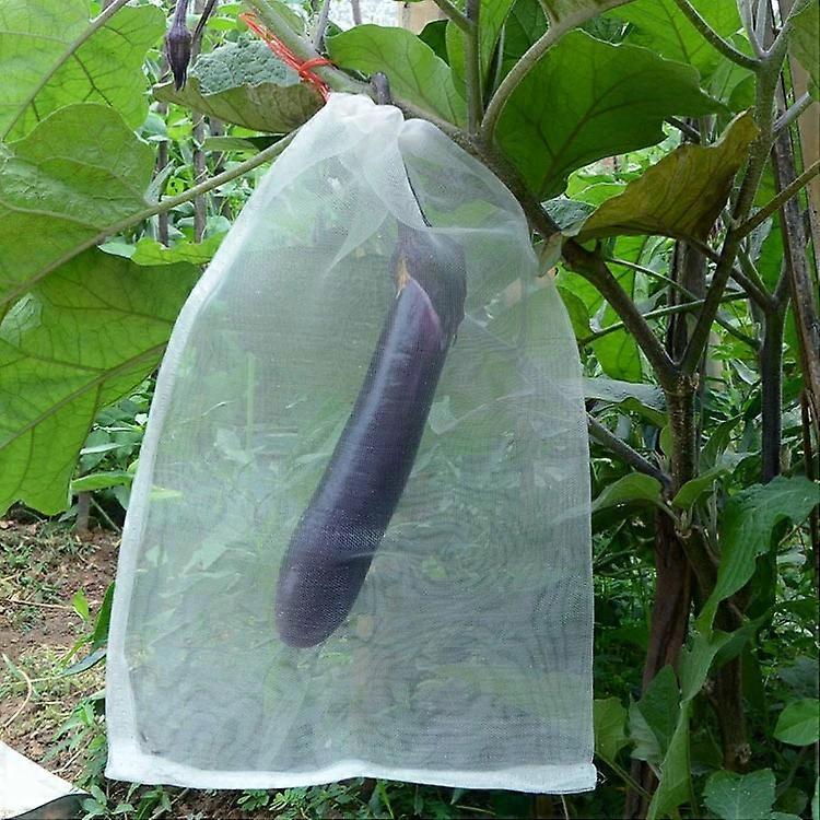 Fruit & Vegetable Insect-Proof Mesh Bags-15 PCS Nylon,25x25cm