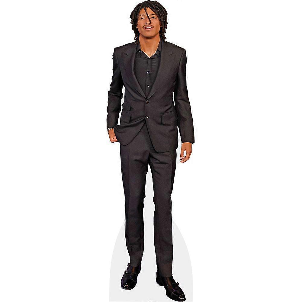 Henry Samuel (Suit) Cardboard Cutout (lifesize OR mini size). Standee. Stand Up.