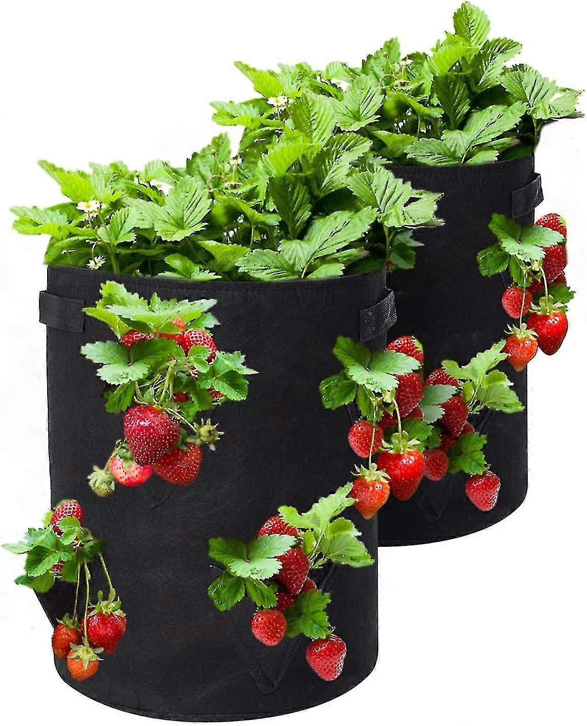 Upgrade Strawberry Grow Bags, 2 Pack 10 Gallon Strawberry Planter With 8 Side Grow Pockets,