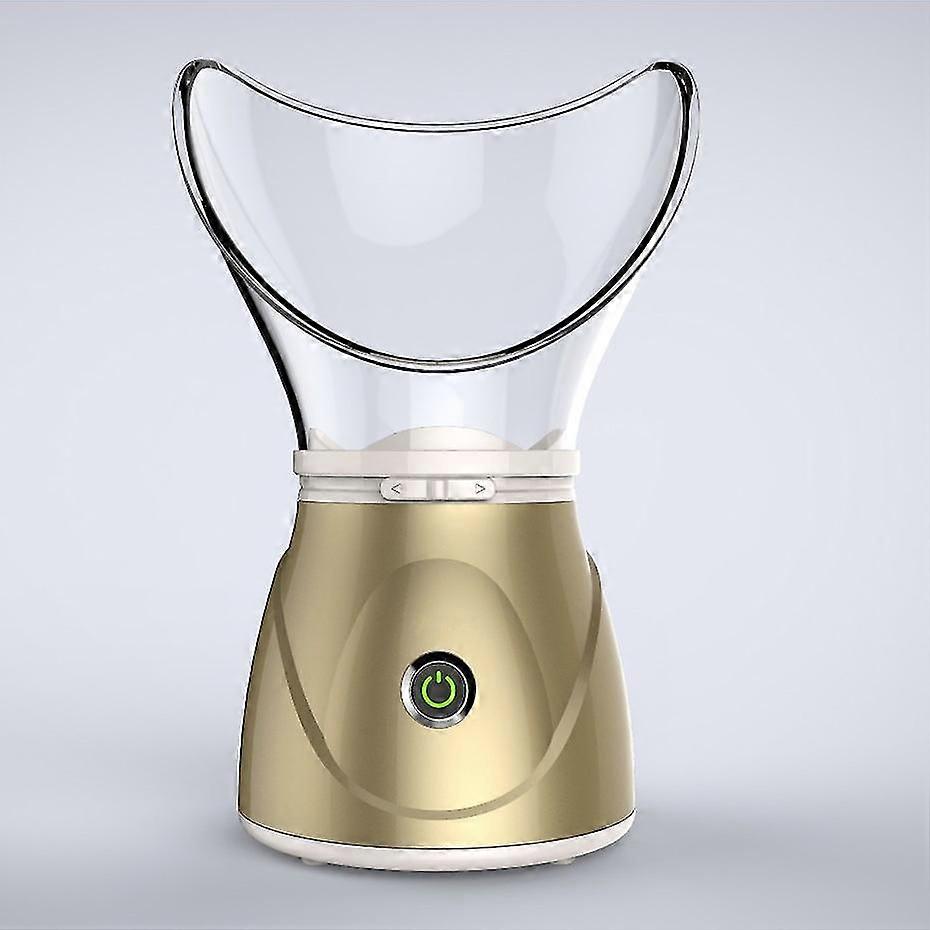 Anion Facial Steamer