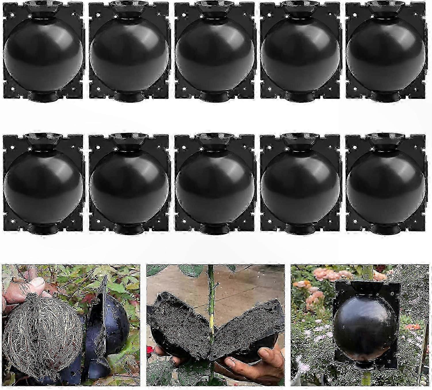 10-Pack Rooting Boxes with Growing Balls for Efficient Plant Propagation and Healthy Root Development