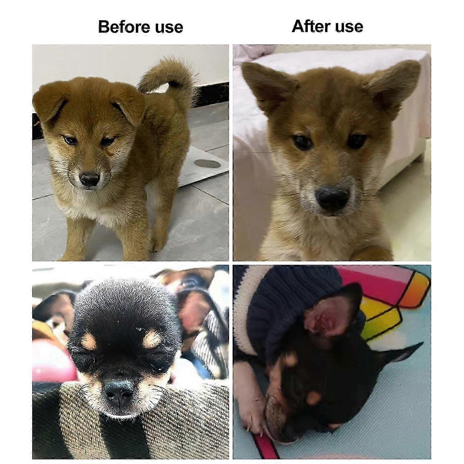 2025 Dog Ear Stand Support Tool,Dog Ear Posting Kit Fixed Correction Vertical Holder,Dog Ear Care Tools New