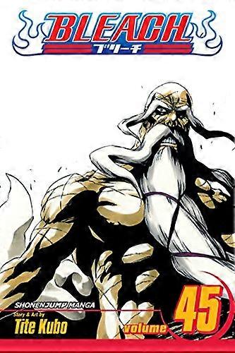 Bleach Vol. 45