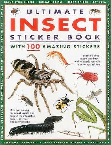 Ultimate Insect Sticker Book by Anness Paperback