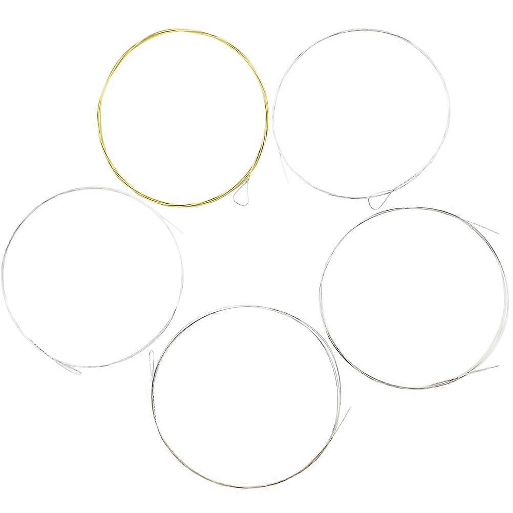 Professional Banjo Strings Five-String Alloy Strings for String Instrument 5Pcs