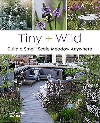 Tiny and Wild: Build a Small-Scale Meadow Anywhere