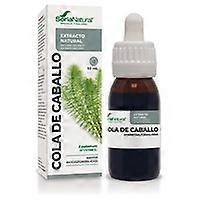 Horsetail Extract (Formula XXI) 50 ml