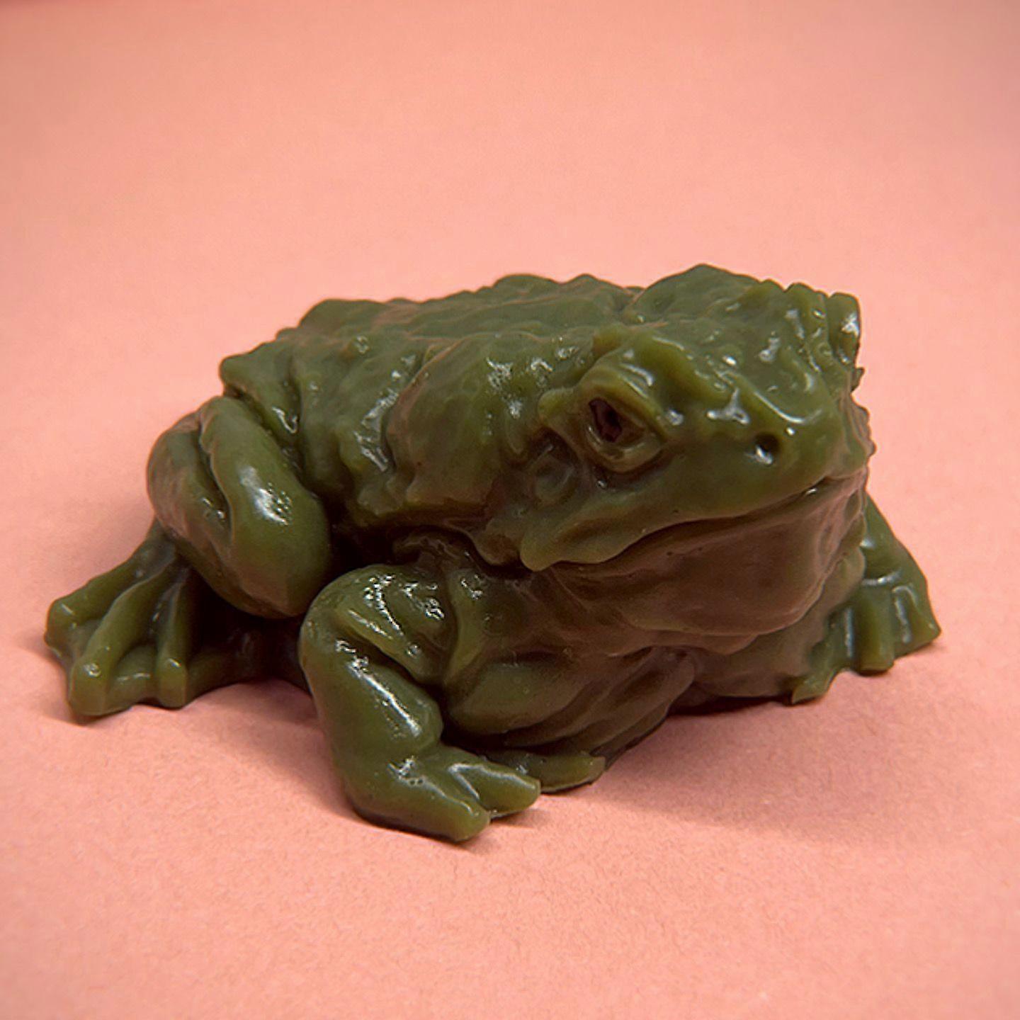 Bouncy Realistic Frog Stress Toy