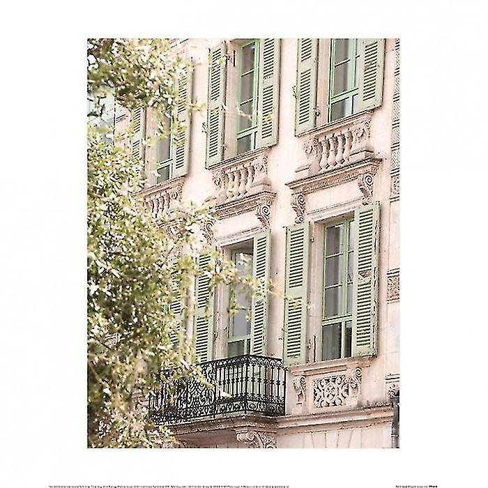 Heather Johnston French Facade Poster