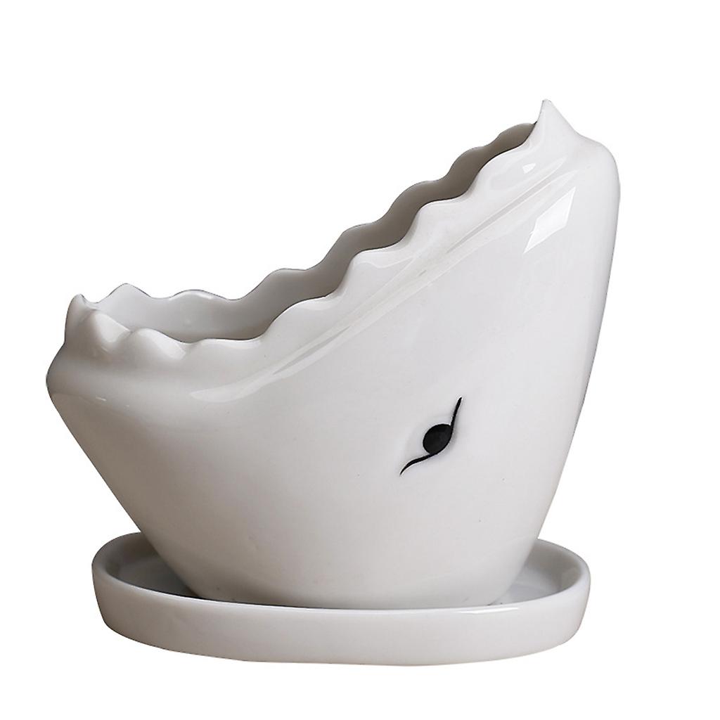 Shark Succulent Planter Pot with Drainage Tray Ceramic Cactus Flower Container
