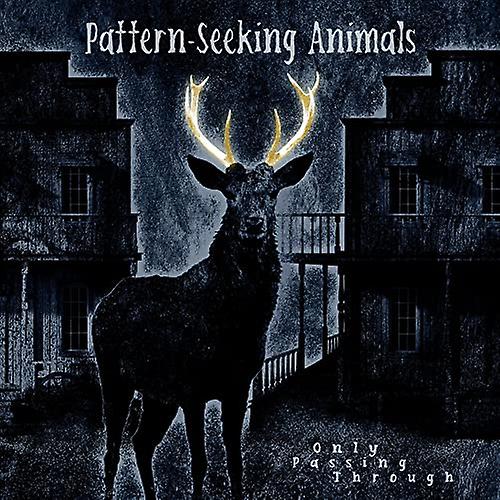 Pattern-seeking Animals - Only Passing Through [VINYL]