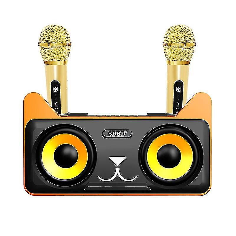 Portable Karaoke Machine For Kids, Kids & Toddlers With Bluetooth Speaker, 2 Wireless Microphones, P