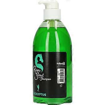 Eucalyptus Horse Shampoo
