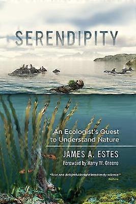 Serendipity
