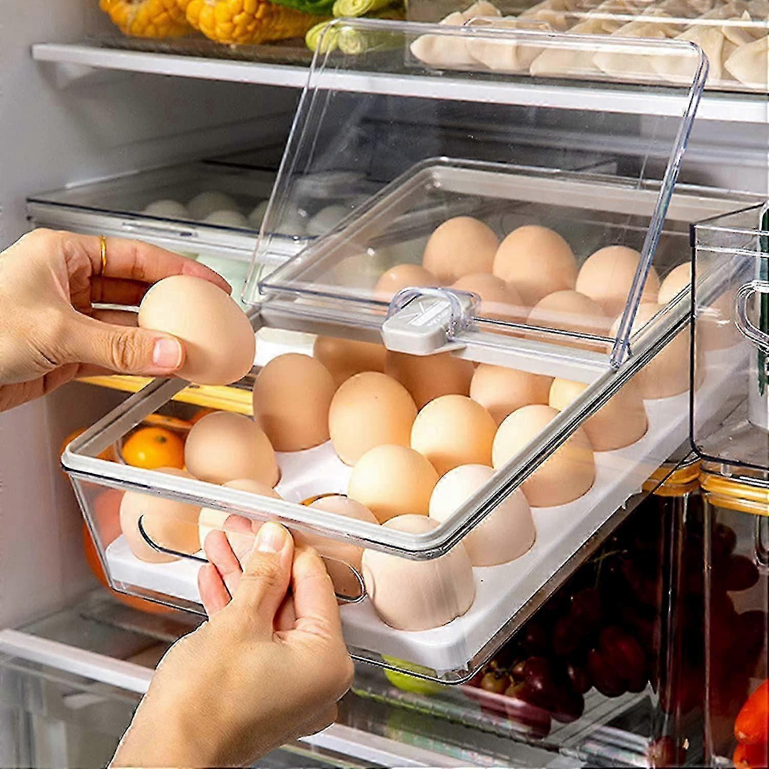 Fridge Egg Storage Box, Plastic Fridge Storage Egg Box 24 Egg Basket, Fridge Egg Storage Container With Dust Cover And Handle (gray)
