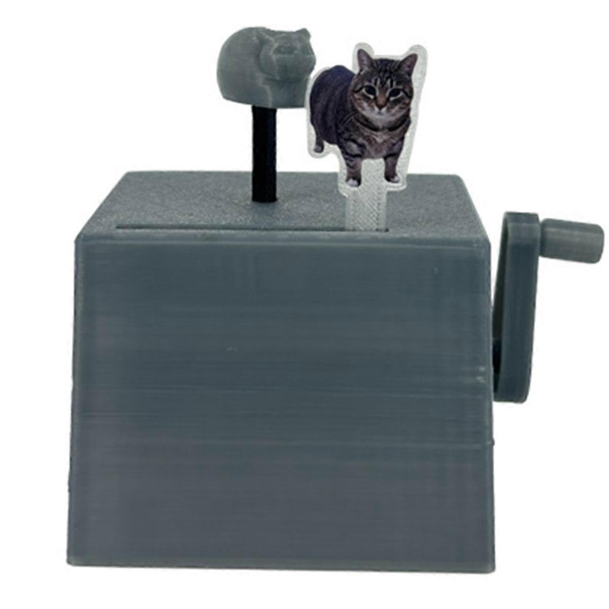 Oiia Cat Toys Children'S That Make Sounds By Hand Funny Music Box
