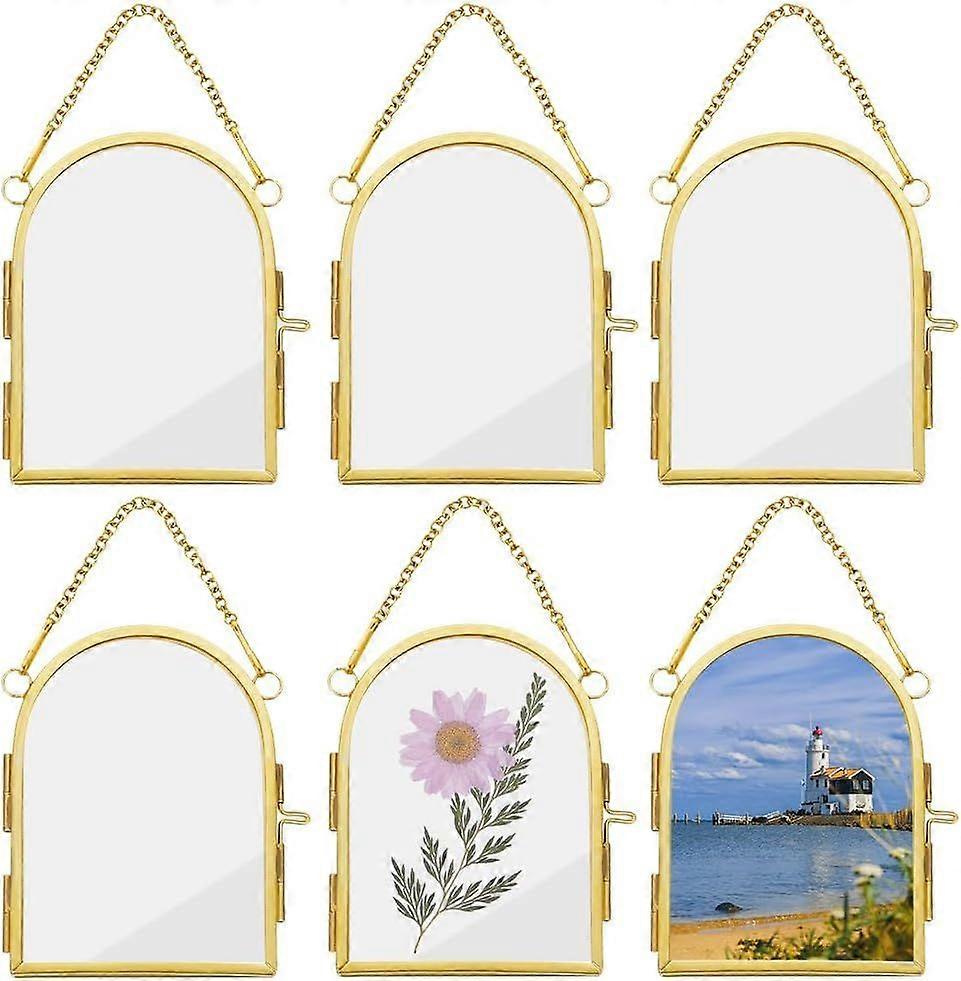 6Pcs Wall Hanging Mini Photo Frames 3.5x2.7 Inch Double Glass Picture Frame with Chain Arch Brass Frame DIY Vintage Artwork Display Frames for Pressed